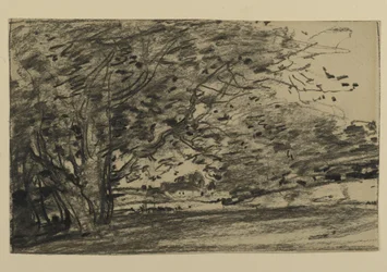 Study of Trees, 1870 (grafiitti paperille)