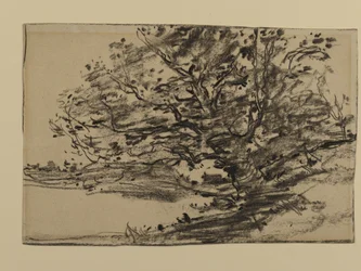 Study of Trees, 1870 (grafiitti paperille)