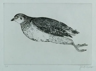 Dead Partridge (La Perdrix) (kaiverrus)
