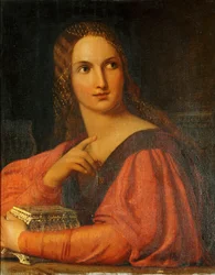 Portia arkun kanssa, video