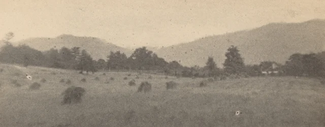 Maisema, jossa on puita ja vuoria,c. 1900 (kuva)