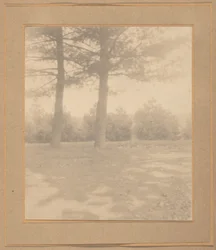 Maisema puineen,c. 1900 (kuva)