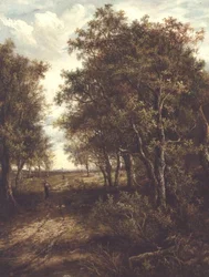 Selviö metsässä