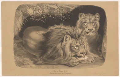leijona ja leijona Lion et Lionne (otsikko esineessä) Eläintutkimukset kahdella liidulla (sarjan nimi) Etude aux deux värikynät par Z. Gengembre (sarjan nimi esineessä)