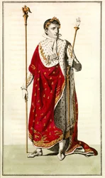 Napoleon irlantilainen