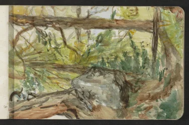 Metsä Pontresinassa