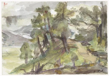 Metsäinen mäkinen maisema