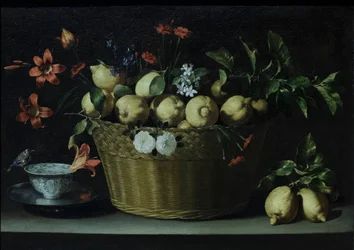 Asetelma, jossa on sitruunoita pajukorissa, noin 1643-49 (öljy kankaalle).