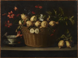Asetelma sitruunoista pajukorissa, noin 1643-1649
