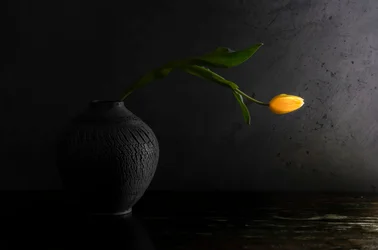 Keltainen tulppaanin asetelma