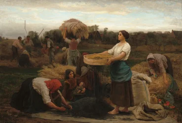 The Colza Harvesting Rapeseed, 1860. finlandès