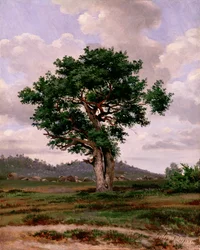 The Rager (lämpimäinen)