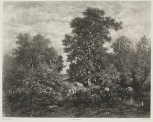 Lampi, Théodore Rousseaun (1812-67) jälkeen