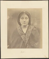 Toivo