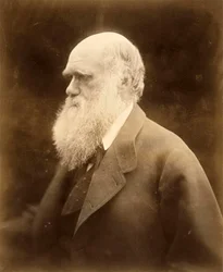 Charles Darwinin muotokuva, 1868