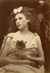 Auringonkukka, 1870-luvun alku.