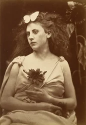 Auringonkukka, 1870-luvun alku (kuva)