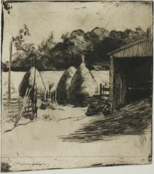 Heinäsuovasta
