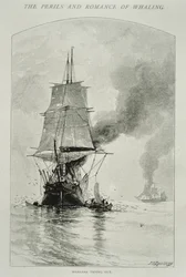 "Whalers Trying Out" (kaivertaa valaan ja nostaa sen lihaa kyytiin), "The Perils and Romance of Whaling" -julkaisussa Century Magazine, elokuu 1890 (kaiverrus)