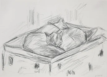 Cats Nestling, 2015 (lyijykynä)
