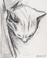 Nukkuva kissa, 2015, (lyijykynä)