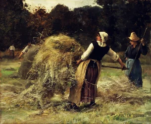 Viikaterit,