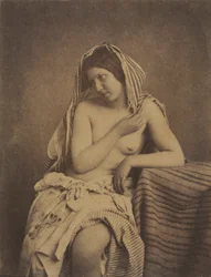 Study after Nature, n. 1853-1855.