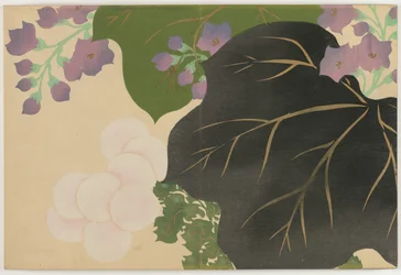 Sadan maailman kukat (Momoyogusa): Chrysanthemum ja Paulownia (Kikukiri)