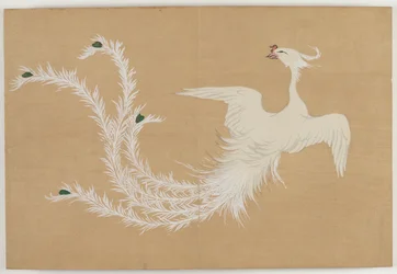 Sadan maailman kukat (Momoyogusa): Valkoinen Phoenix (Hakuho)