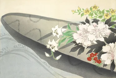 Hana-Bune, Momoyo-gusasta