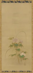 Hibiscus osa settiä, Edo-kausi, 1600-luvun puoliväli - 1700-luvun alku.