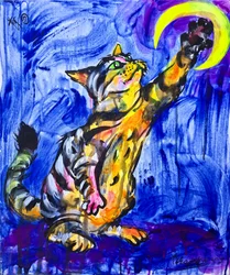 Leikkisä Kissa-Kuu