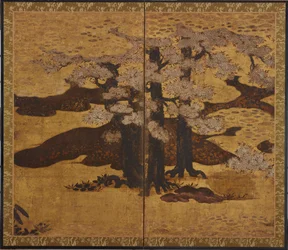 Kukkivat kirsikkapuut, Edo-kausi, n. 1580-1635.