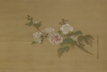 Kukkivan hibiskuksen oksa, Edo Period (väri silkillä)