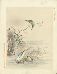 Kingfisher katselee lintua veden äärellä Kano Tsunenobun kukka- ja lintupiirrokset (sarjan nimi) Kano Tsunenobu kacho gafu (sarjan nimi esineellä)