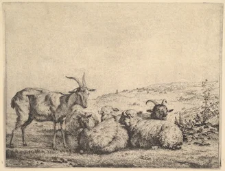 Kaksi vuohet ja kolme lammasta, 1655.