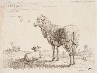 Lammas ja karitsa