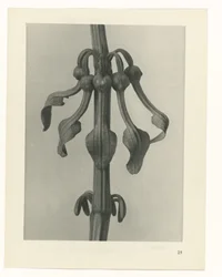 suunnittele tutkimusta Taiteen arkkityypit (sarjan nimi)