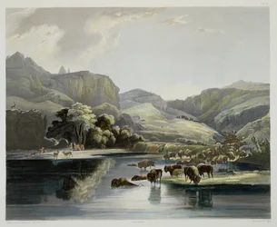 Biisoni- ja vapitilaumoja Missourin yläjuoksulla, taulu 47 teoksen "Matka Pohjois-Amerikan sisäosiin" osasta 2, kaivertanut Carl Vogel (1816-51), 1844