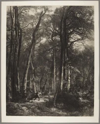 Mies metsässä