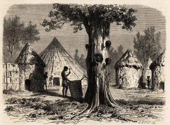 Sodan puu Djourin kylässä Bahr-el-Gazalin alueella Sudanissa, piirustus Karl Girardet (1813-1871) havainnollistamaan matkaa A. Bolognesin gasellien joelle vuosina 1856-1857. Kaiverrus kirjassa "" Le tour du monde", toimittanut Edouard Charton