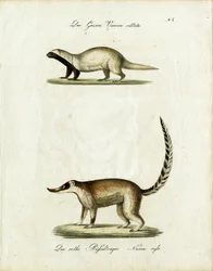 Nimetön