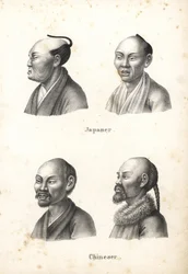 Japanilaisten miesten rintakuvia, joissa on chonmage-hiussolmu, sekä parrakkaiden kiinalaisten miesten rintakuvia, joista yhdellä on palmikko. Litografia Heinrich Rudolf Schinzin teoksesta Kuvitettu ihmisten ja eläinten luonnonhistoria
