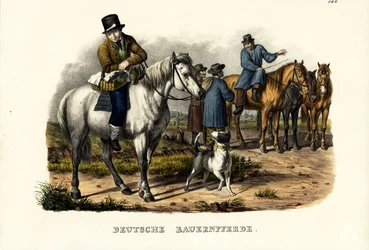 Saksalaiset maatilan hevoset, 1824