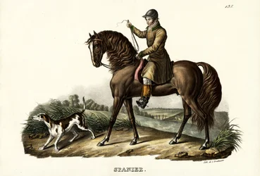 Espanjan metsästäjähevonen, 1824