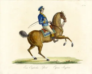 The English Horse (painettu)
