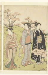 Ihaile kirsikankukkia Asukayamassa