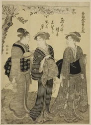 Cherry Blossoms in Spring, sarjasta "Choicest Odes upon Flowers of the Four Seasons (Shuku awase, shiki no hana)"