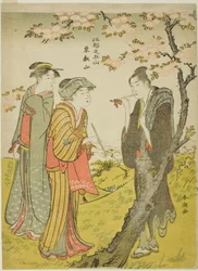 Toei Hill (Toeizan), sarjasta "Five Hills of Edo (Koto no gozan)"
