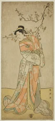 Näyttelijä Ichikawa Ebizo (Danjuro V) Iwafujin odottajana näytelmässä Gozen-gakari Sumo Soga, joka esitettiin Kawarazakin teatterissa ensimmäisenä kuukautena vuonna 1793 ().